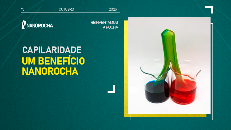 Experimento ilustrando o fenômeno da capilaridade com dois béqueres, um contendo líquido azul e outro vermelho, conectados por um talo vegetal que absorve as cores.